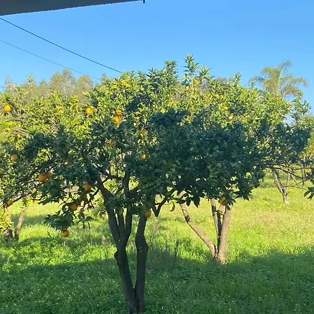 Mita's Holiday home *