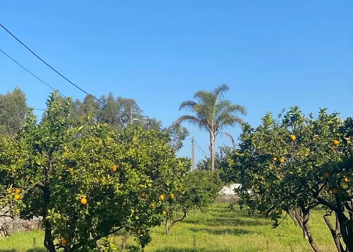 Prázdninový dům Mita's