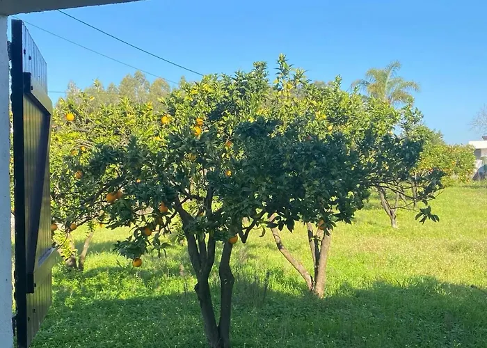 Mita's Prázdninový dům *